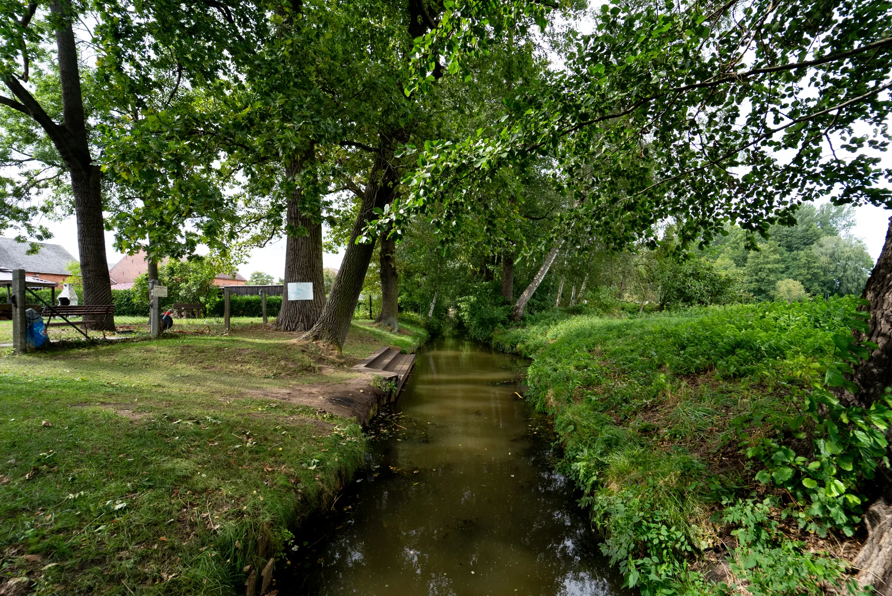 Grünes Ufer am Grundstück